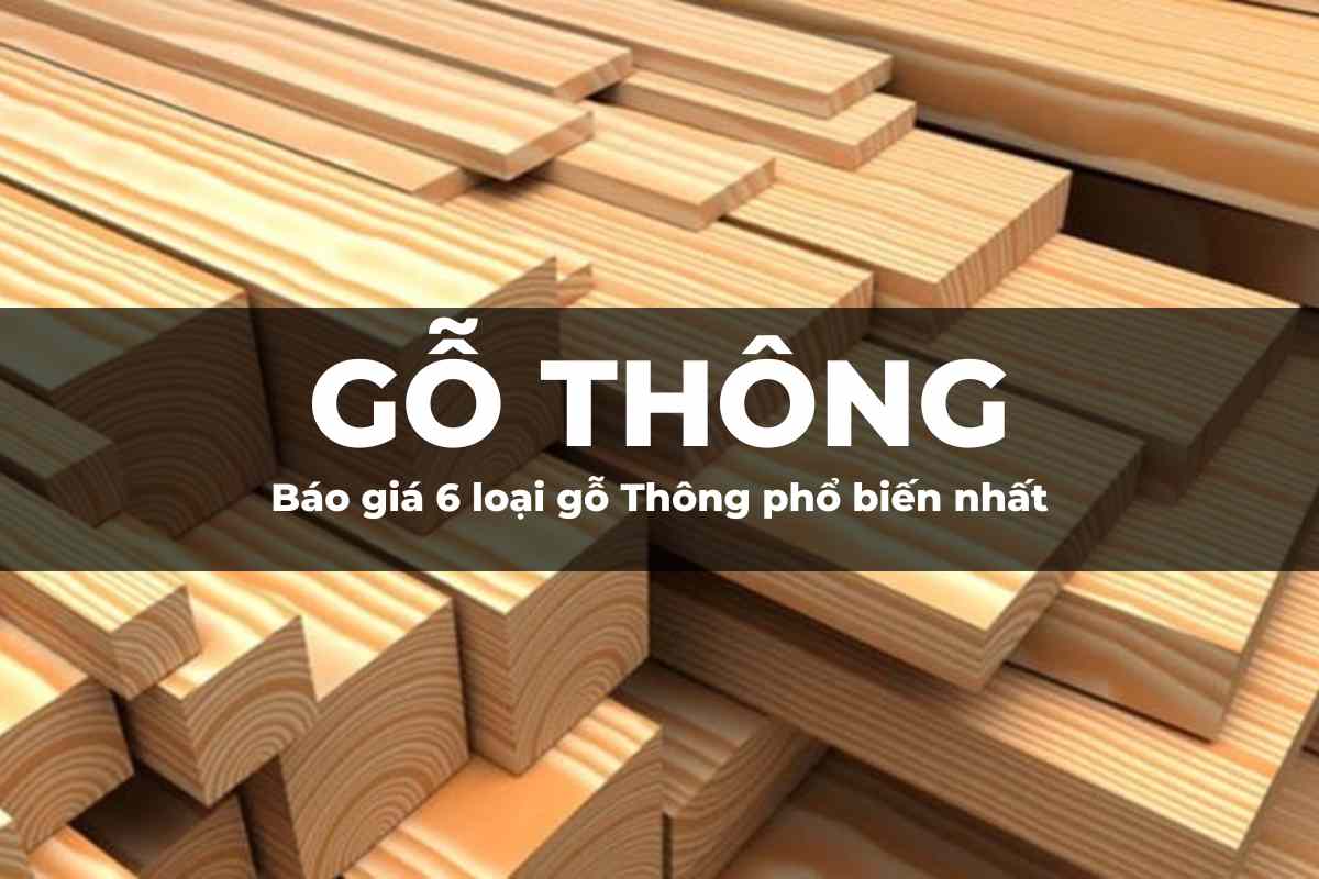 Gỗ Thông