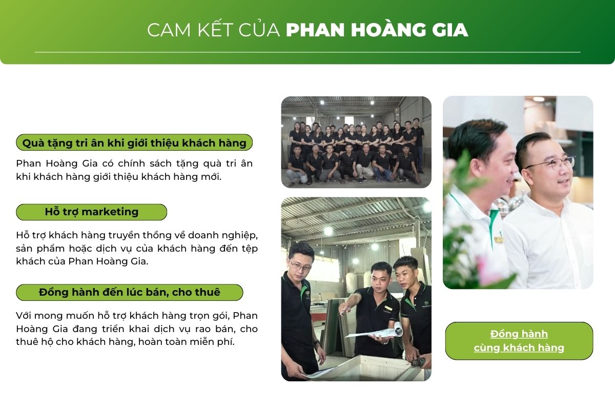 Cam kết của Phan Hoàng Gia